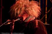 The Melvins 8 