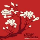 Akira & The Airborne Particles - True Love Waits (Chronique)