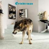 chronique Grinderman - Grinderman 2