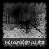 HJARNIDAUDI - Psykostarevoid (chronique)