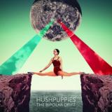 chronique Hushpuppies - The Bipolar Drift