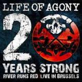 chronique : Life of Agony - 20 years strong : Live in Brussels chronique Life of Agony - 20 years strong : Live in Brussels