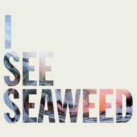 The Drones - I see seaweed