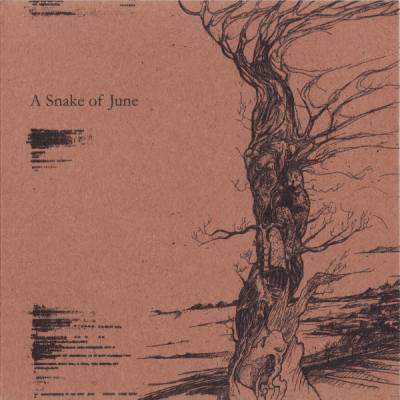 A Snake Of June - s/t