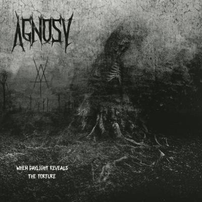 Agnosy - When Daylight Reveals the Torture (Chronique)