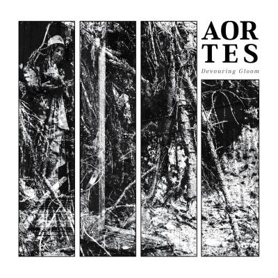 Aortes - Devouring Gloom (Chronique)