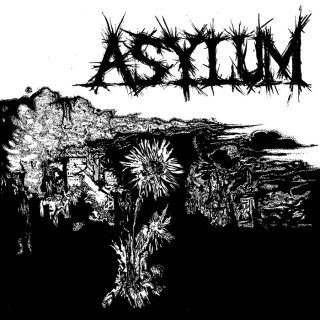 Asylum (us) - S/t (chronique)