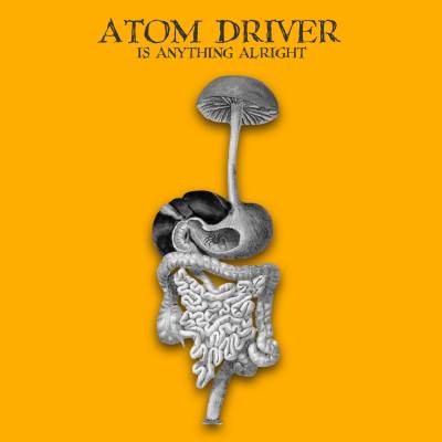 Atom Driver - Is Anything Alright (chronique)