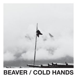 Beaver - Cold hands