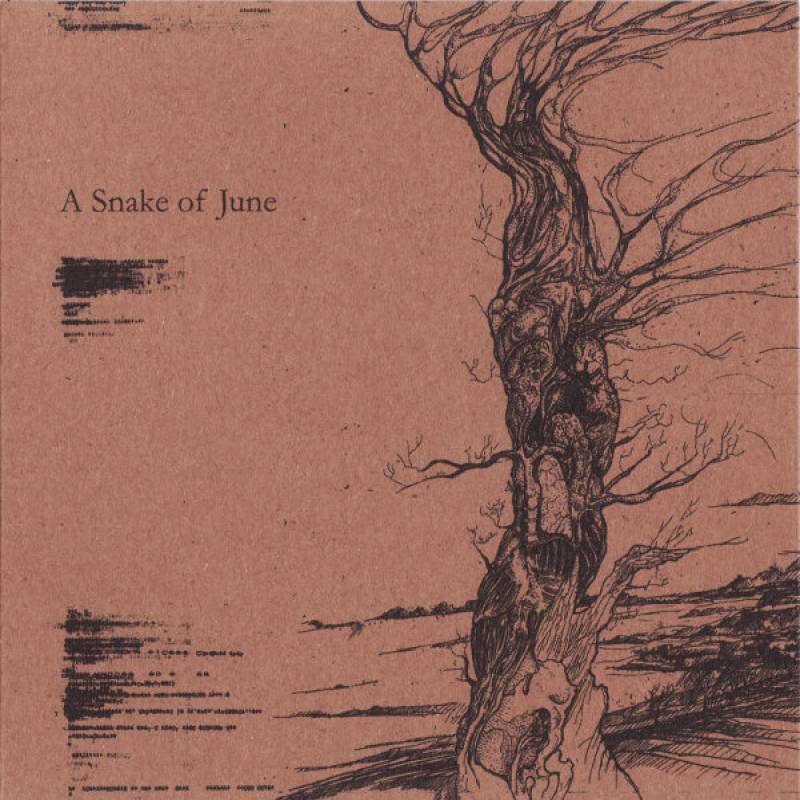 chronique : A Snake Of June - s/t chronique A Snake Of June - s/t