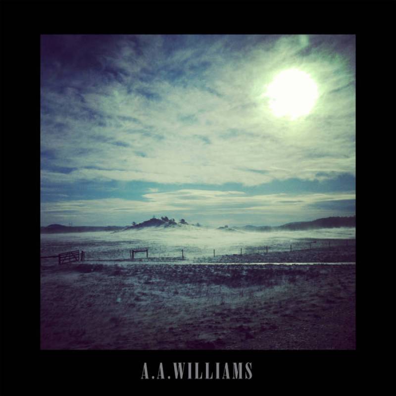 chronique A.a Williams - S/T