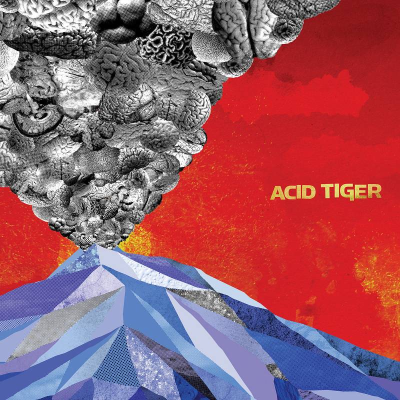 chronique Acid Tiger - Acid Tiger