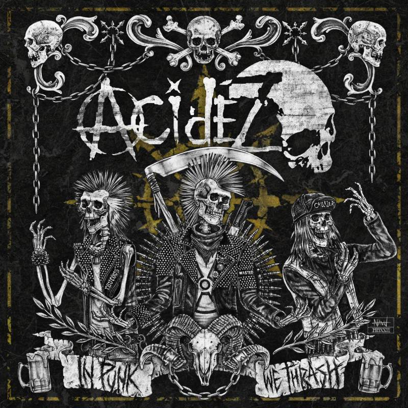 chronique : Acidez - In Punk We Thrash chronique Acidez - In Punk We Thrash