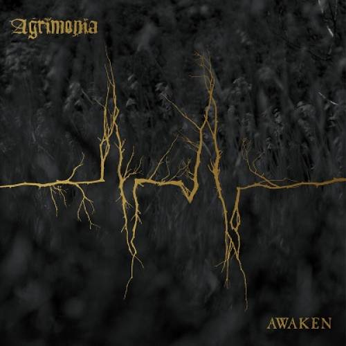 chronique Agrimonia - Awaken