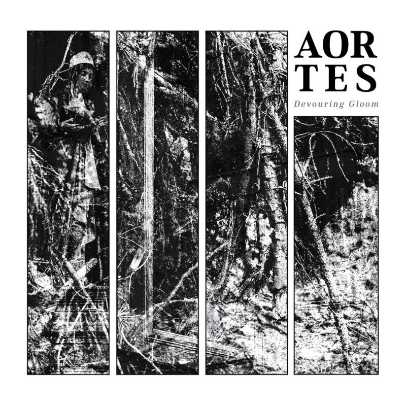 chronique Aortes - Devouring Gloom