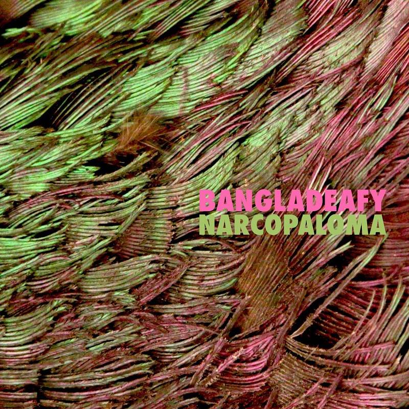 chronique Bangladeafy - Narcopaloma