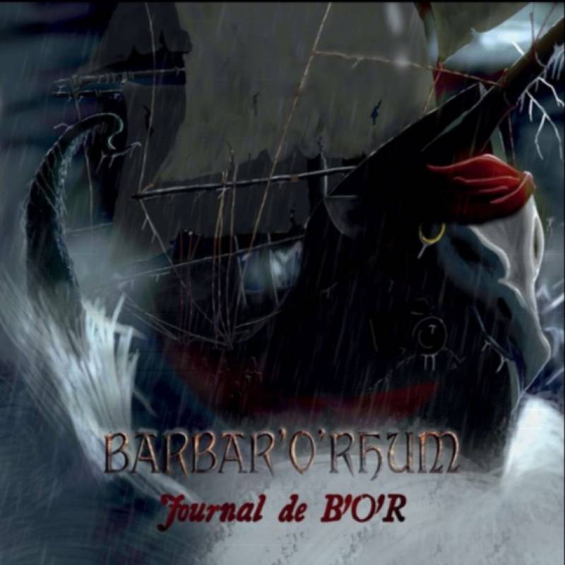chronique Barbar'o'rhum - Journal de B'O'R