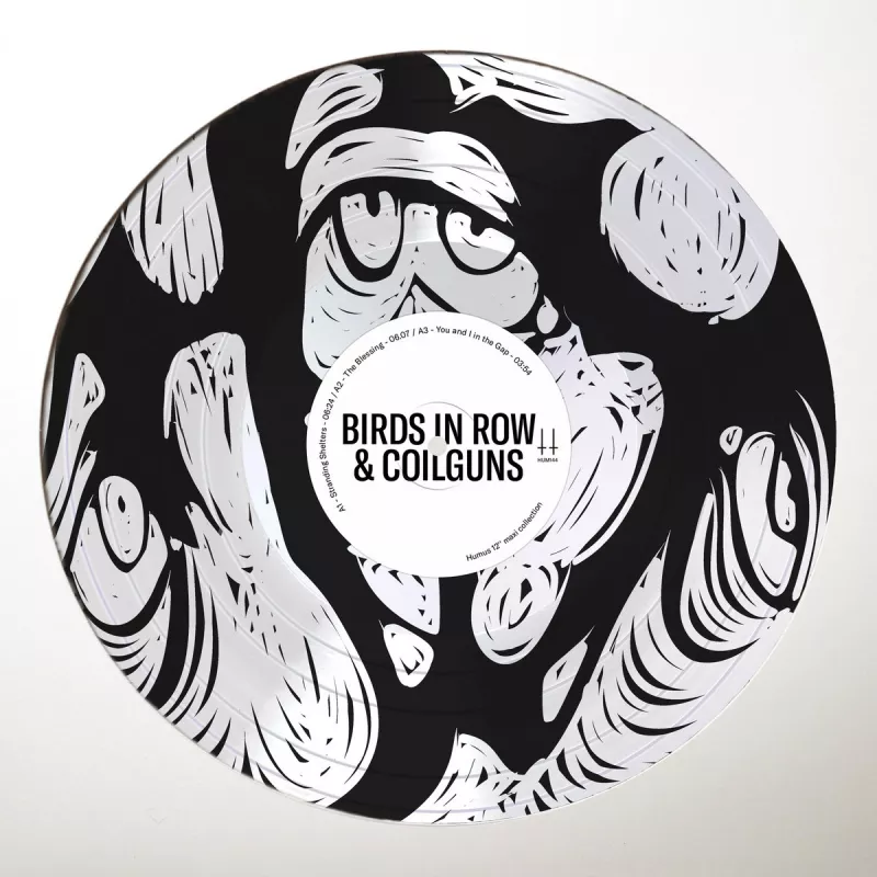 chronique Birds In Row + Coilguns - You and I in the Gap