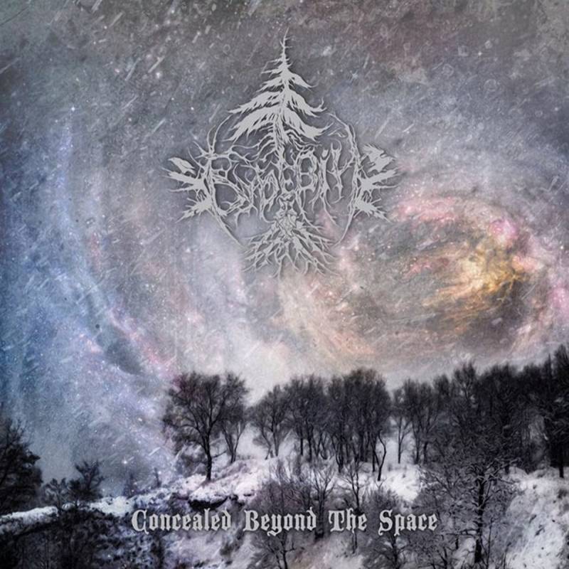 chronique : Bureviy - Concealed Beyond The Space chronique Bureviy - Concealed Beyond The Space
