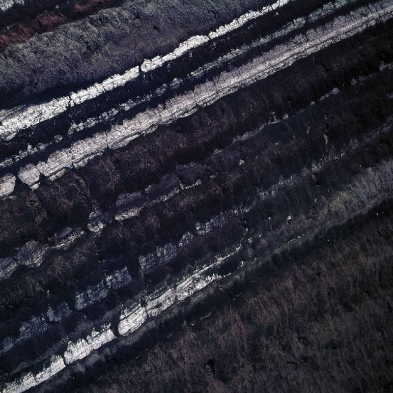 chronique : Celeste - Pessimiste(s) chronique Celeste - Pessimiste(s)