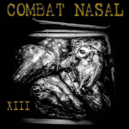 chronique Compilation - Combat Nasal vol.13