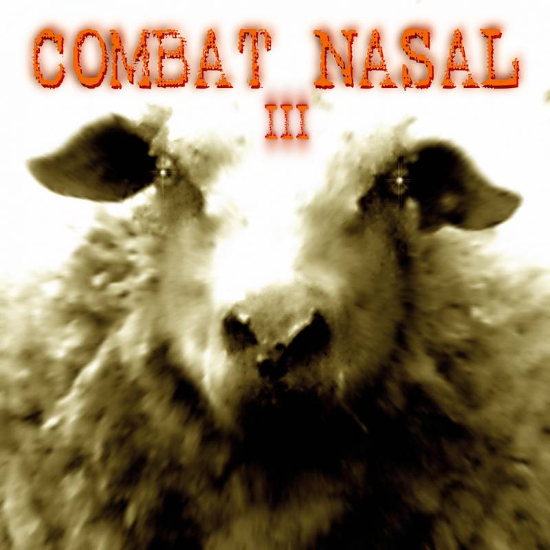 chronique Compilation - Combat Nasal vol.3
