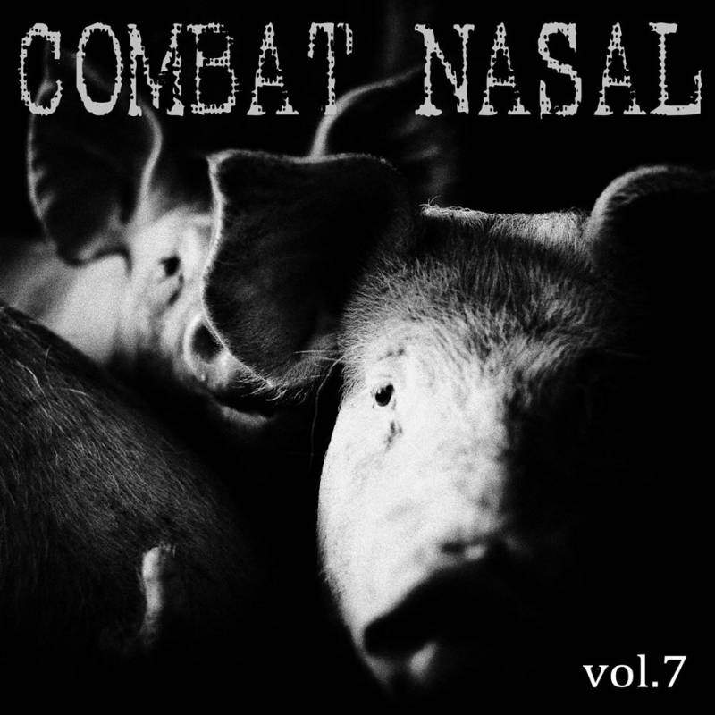 chronique Compilation - Combat Nasal vol.7