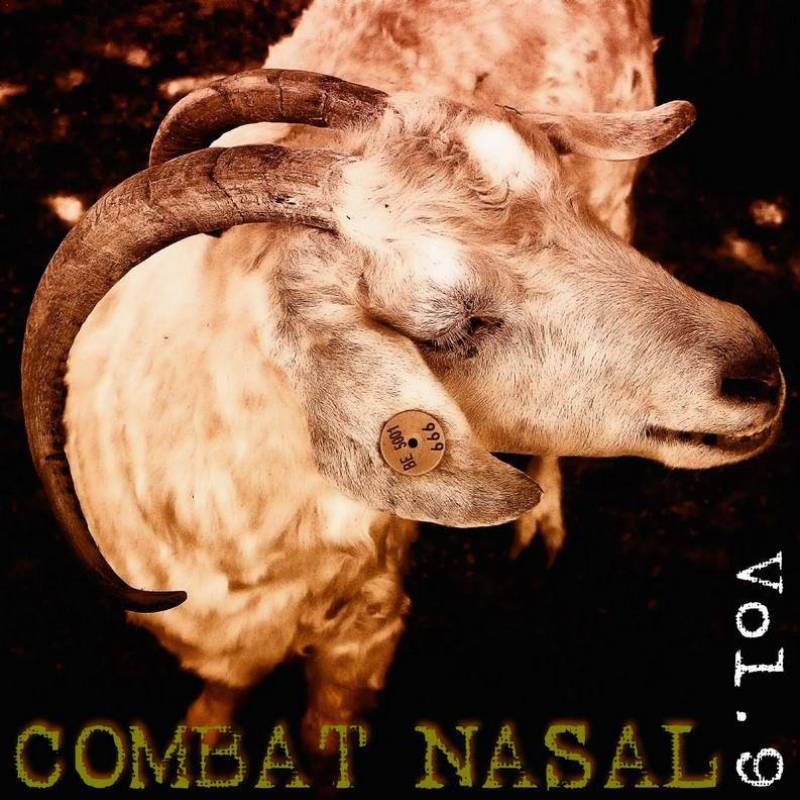 chronique Compilation - Combat Nasal vol.9