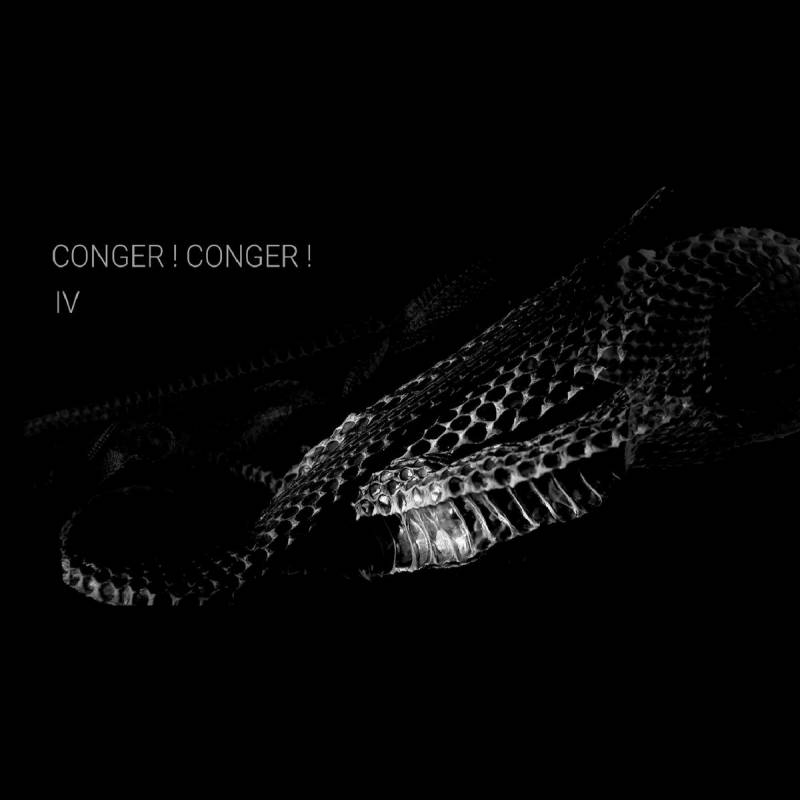 chronique : Conger ! Conger ! - IV chronique Conger ! Conger ! - IV