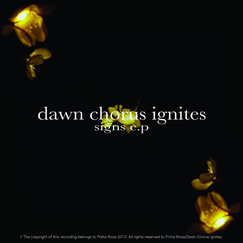 chronique : Dawn Chorus Ignites - Signs chronique Dawn Chorus Ignites - Signs