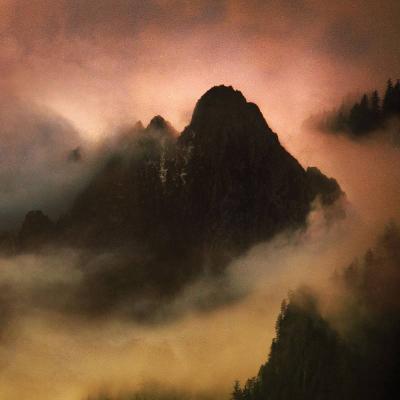chronique Dead To A Dying World - Elegy