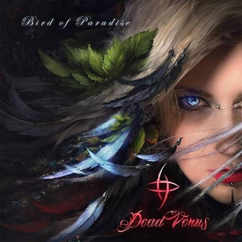 chronique Dead Venus - Bird Of Paradise