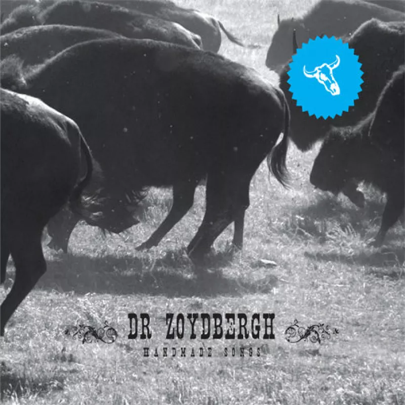 chronique : Dr Zoydbergh - Handmade Songs chronique Dr Zoydbergh - Handmade Songs