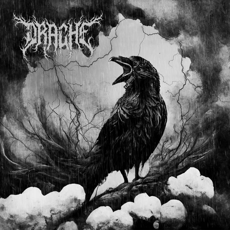 chronique : Drache - De Mauvais Augure chronique Drache - De Mauvais Augure