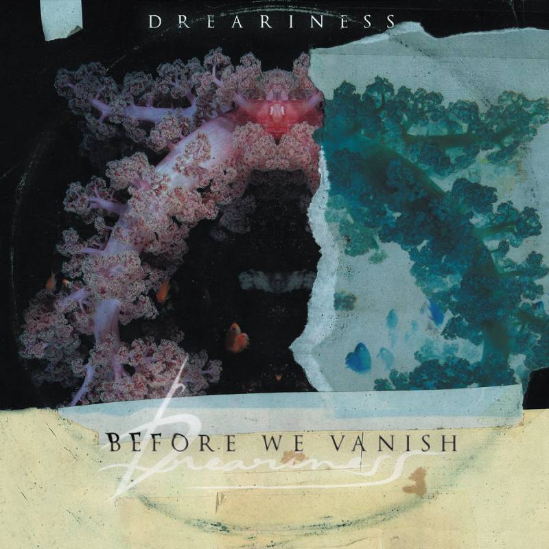 chronique Dreariness - Before We Vanish