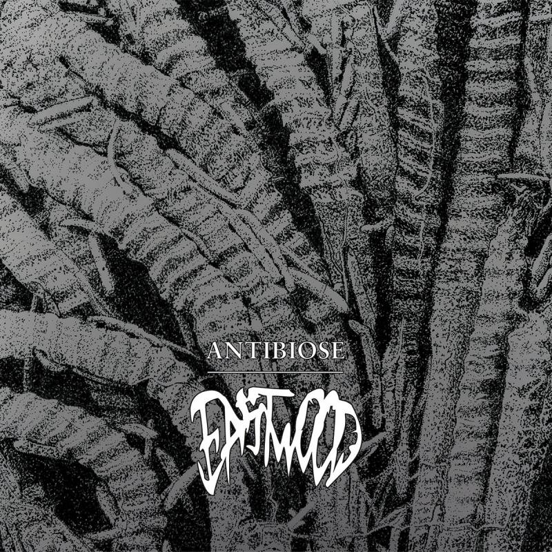 chronique : Eastwood - Antibiose chronique Eastwood - Antibiose