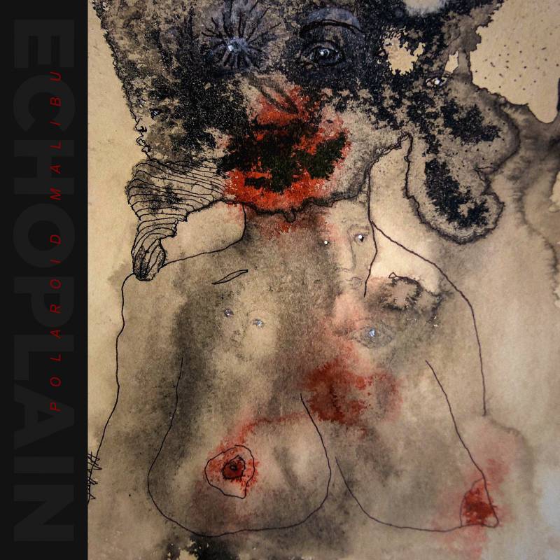chronique : Echoplain - Polaroïd Malibu chronique Echoplain - Polaroïd Malibu