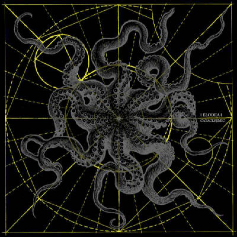 chronique : Elodea - Cataclysmic chronique Elodea - Cataclysmic