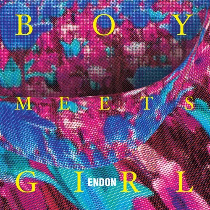 chronique Endon - Boy Meets Girl