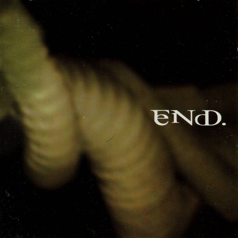 chronique : Eryn Non Dae. - The never ending whirl of confusion chronique Eryn Non Dae. - The never ending whirl of confusion
