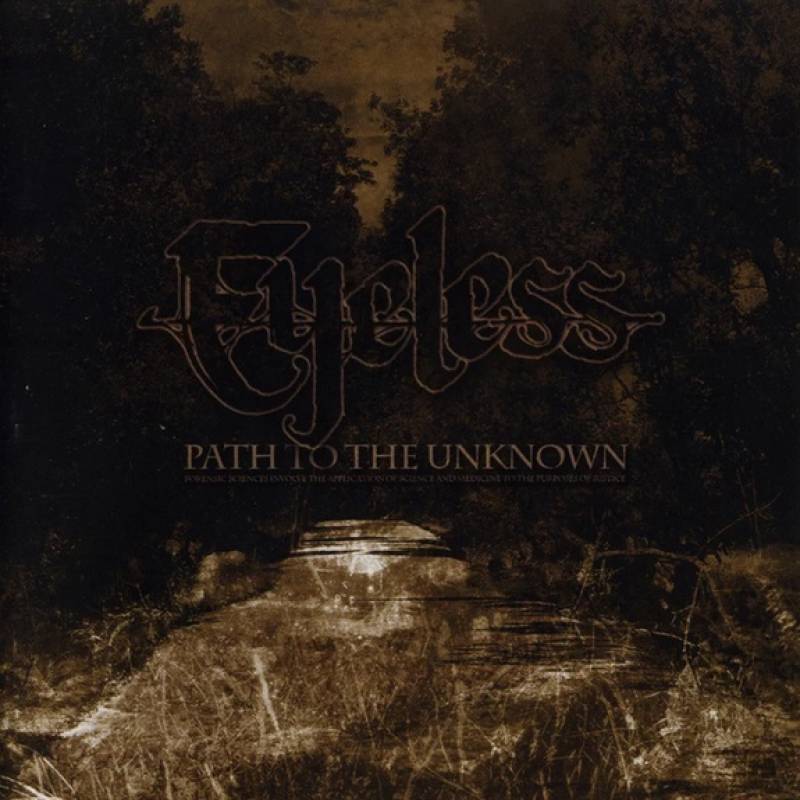chronique : Eyeless - Path to the unknown chronique Eyeless - Path to the unknown