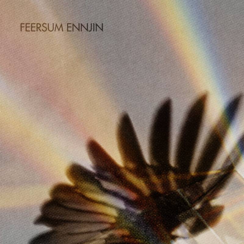 chronique : Feersum Ennjin - Feersum Ennjin chronique Feersum Ennjin - Feersum Ennjin