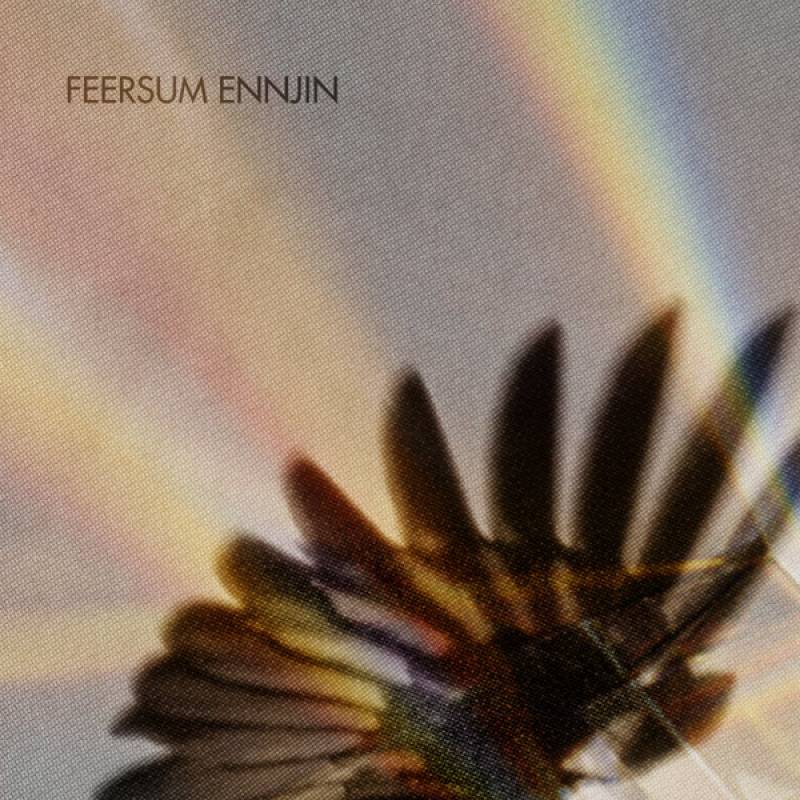 chronique Feersum Ennjin - Feersum Ennjin