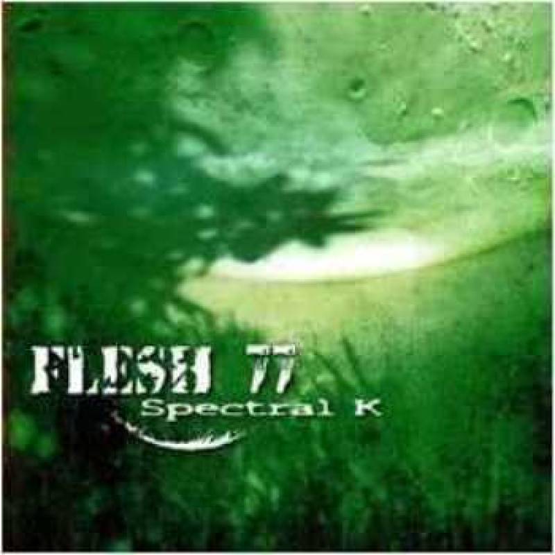 chronique Flesh 77 - FLESH 77 