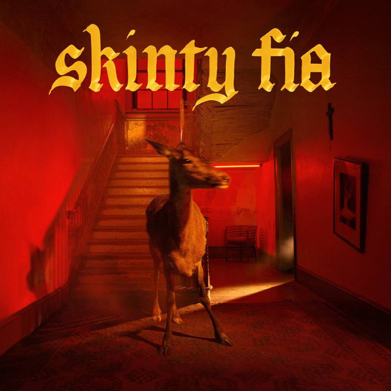 chronique Fontaines D.C. - Skinty Fia