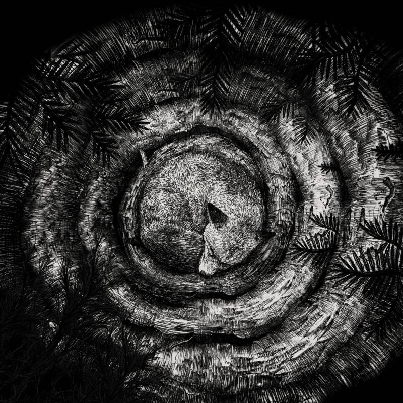 chronique Forhist - Forhist
