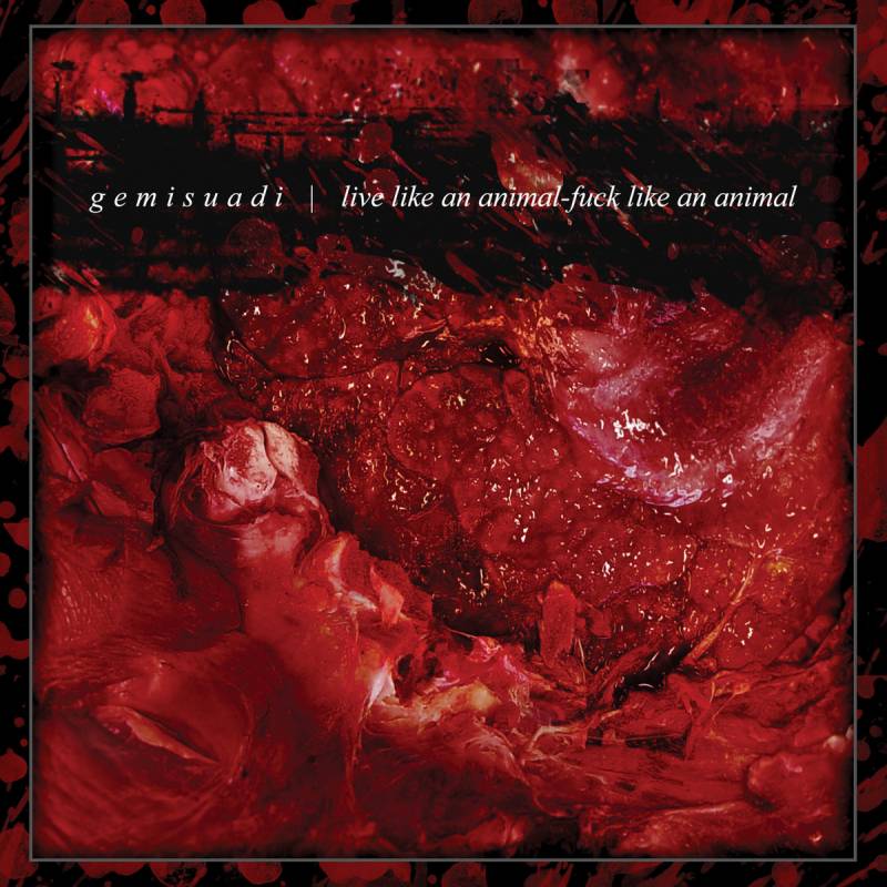chronique : Gemisuadi - Live Like An Animal, Fuck Like An Animal chronique Gemisuadi - Live Like An Animal, Fuck Like An Animal