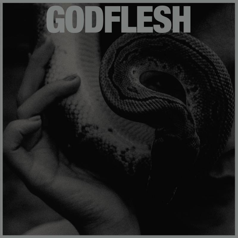 chronique Godflesh - PURGE