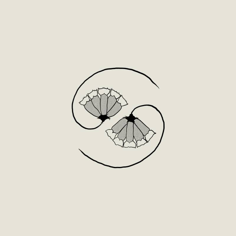 chronique : Godspeed You! Black Emperor - G_d’s Pee AT STATE’S END! chronique Godspeed You! Black Emperor - G_d’s Pee AT STATE’S END!