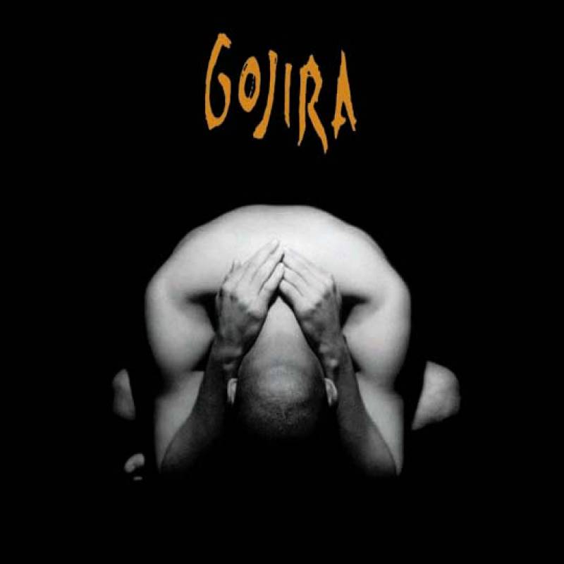 chronique Gojira - Terra Incognita
